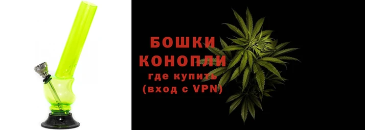 гидропоника Рославль