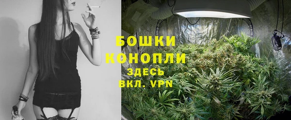 гидропоника Рославль