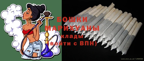 гидропоника Рославль