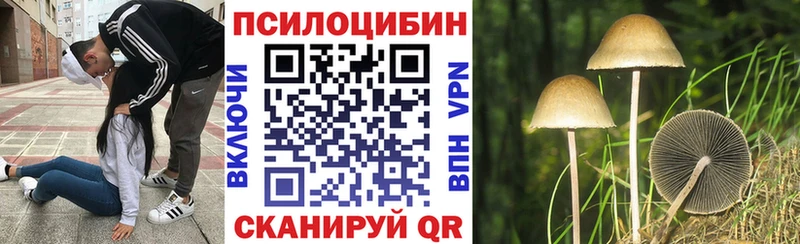 Галлюциногенные грибы ЛСД  Кашира 